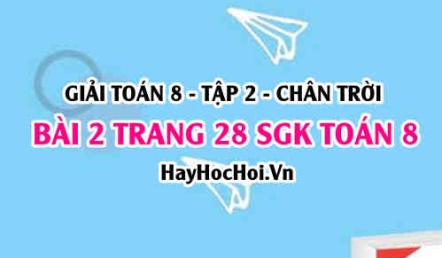 Bài 2 trang 28 Toán 8 Tập 2 Chân trời sáng tạo